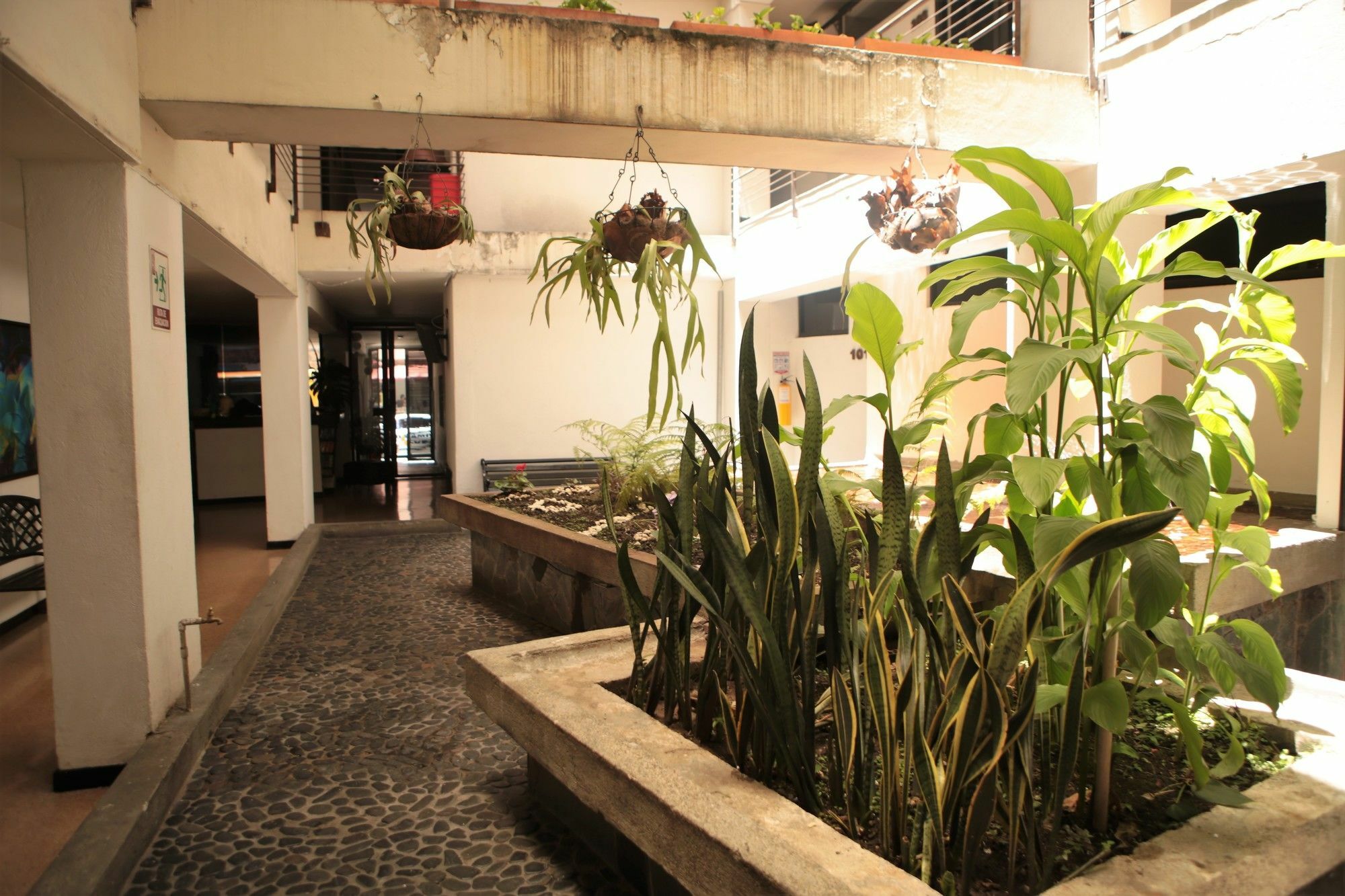 Hotel Natural Medellin Exterior photo
